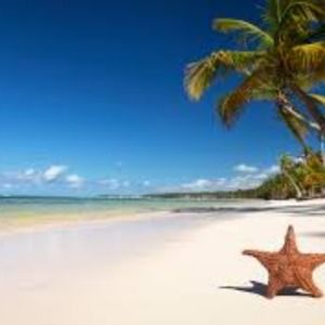 Meet your Posher, Dipali